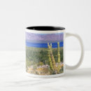 Search for baja mugs Nature