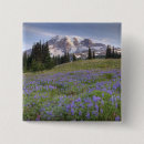Search for mount washington buttons View