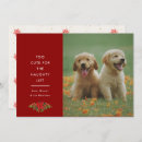 Search for pet photo christmas cards Nice list