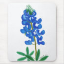 Search for lone mousepads Texas
