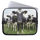 Search for looking at camera cases Humour