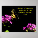 Search for wild butterfly posters Floral