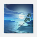 Search for shell pictures magnets Shells