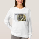 Search for honeybee tshirts Insect