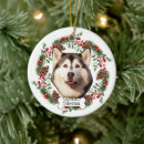 Search for siberian ornaments Dog