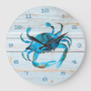 Search for crab clocks Beach