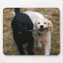 Search for golden retriever puppy mousepads Retrievers