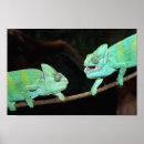Recherche de caméléon art Reptiles
