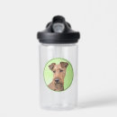 Search for irish terrier Red