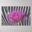 Search for zebra pink posters Nature