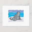 Recherche de morse cartes postales Mer