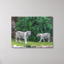 Search for white tigers art Home