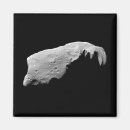 Search for asteroids magnets Universe