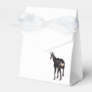 Recherche de chèvre ballotins Animal