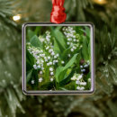 Search for lilies ornaments Landscape