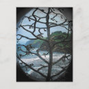 Search for spotlight postcards Tree