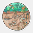 Recherche de scarabées autocollants Insecte