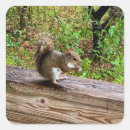 Search for attacker stickers Animal