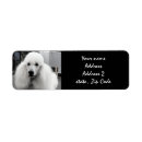 Search for white poodle dog return address labels Animal