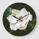Search for magnolia clocks Watercolor