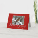 Search for redbird Seasons