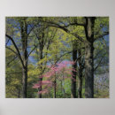 Recherche de environs posters Kentucky