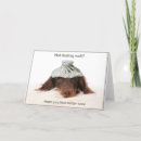 Search for dachshund get well cards Dog
