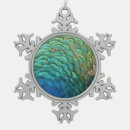 Search for peacock ornaments Nature