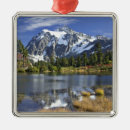 Search for in the wilderness ornaments Peaceful