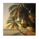 Search for trinidad home decor Tropical