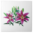 Recherche de lillies de pâques Lis