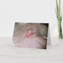 Search for sucks christmas cards Pink