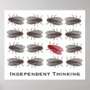 Search for entomology posters Fly