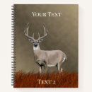 Search for whitetail Wildlife