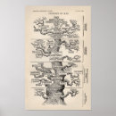 Search for evolutionary tree Tree of life