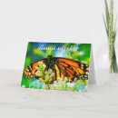 Search for monarch butterflies cards Butterfly