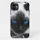 Search for siamese cat iphone cases Cats