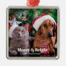 Search for bright ornaments Dog
