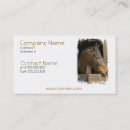 Recherche de sang mon sang cartes visite Cheval