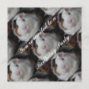 Search for guinea pig invitations Celebration