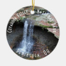 Search for akron ornaments Cleveland