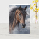 Search for spirit horse cards Horses