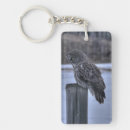Search for owl photo keychains Wildlife