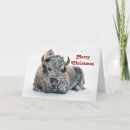 Search for bison christmas cards Wildlife