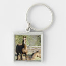 Search for pastural keychains Animal