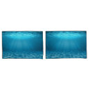 Search for light blue pillowcases Coastal