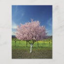 Search for apple tree stamps postcards Farm