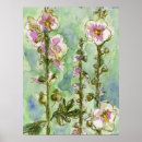 Recherche de malva posters Mallow