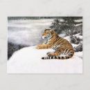 Search for tiger horizontal postcards Snow