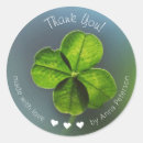 Search for irish blessing stickers Lucky